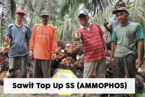 Sawit TM-TSP-SS Ammophos   